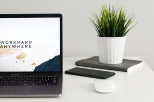 np job search tips