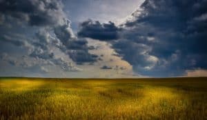 NP Job Opening in Iowa
