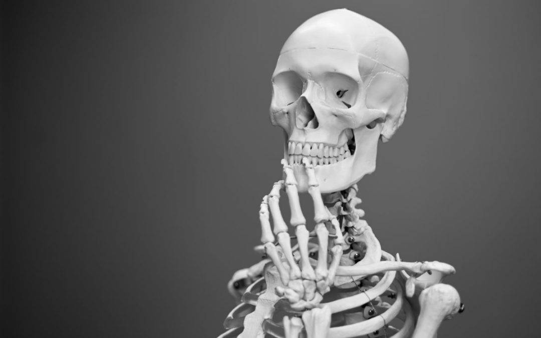 So, You Want to Be an Orthopaedic Physician Assistant