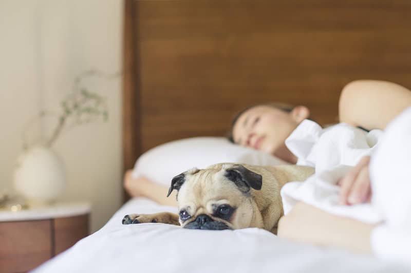 5 Better Sleep Tips from a Sleep Clinic Nurse Practitioner