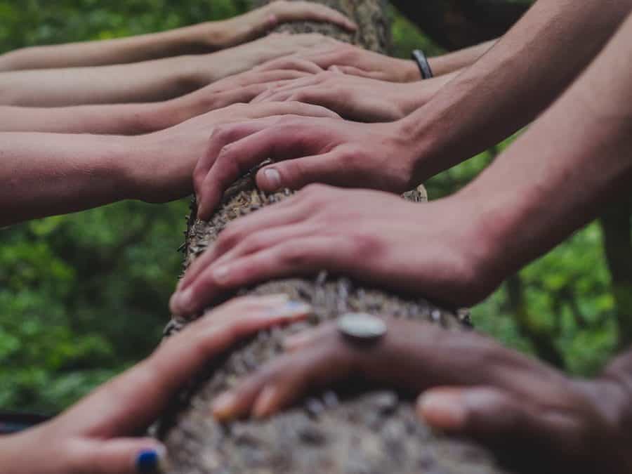 3 Characteristics of the Ideal Team Player