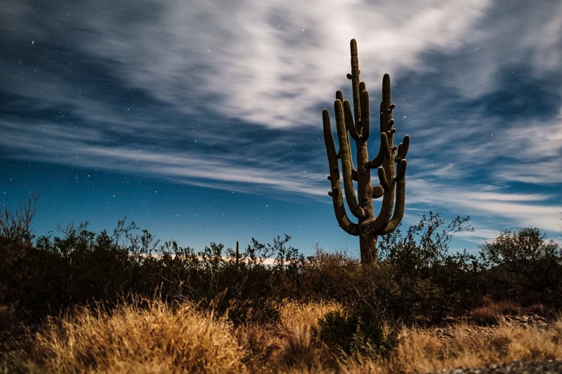 Hiring a Physician in Arizona!